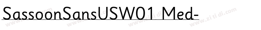 SassoonSansUSW01 Med字体转换